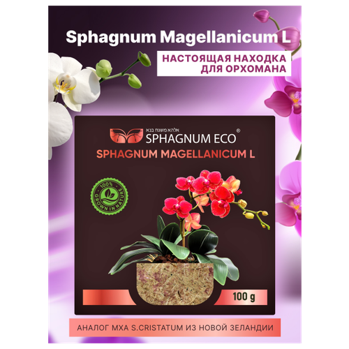    sphagnum magellanicum L      8 .  -     , -,   