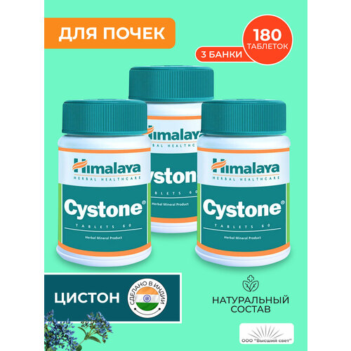      (Cystone Himalaya)  ,    , 360 .  -     , -  