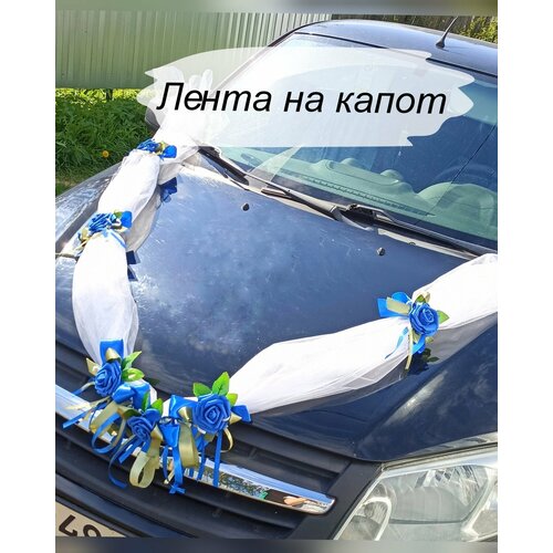 ���� ����� ��������� �� ������. ��������� �� ��������� ����������.