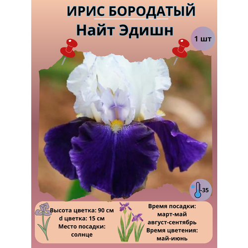 ���� ���� ��������� ���� �����, ����������� �����