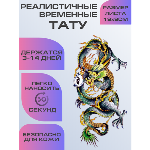 ���� ���� ���������� ��������������, ��������� ���� �����