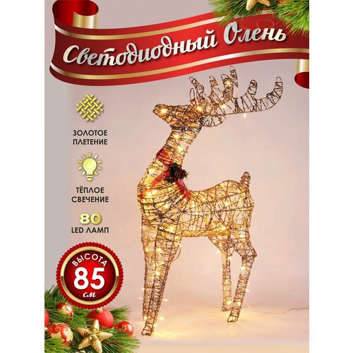 ���� ����� ���������� ������������ ���������� 80 �� �������