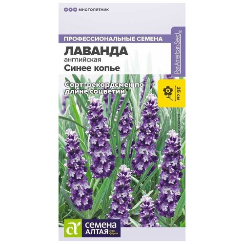 ���� ������ ������� ���������� 