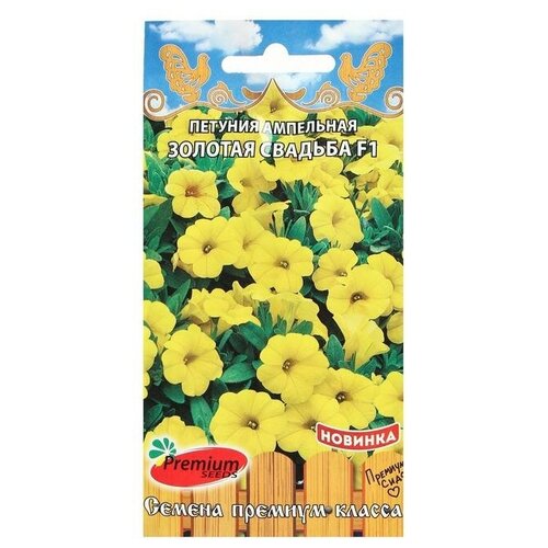 ���� ������ ������ ������� ��������� 