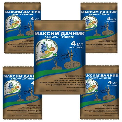 ���� ������ ������ (4��), 5��