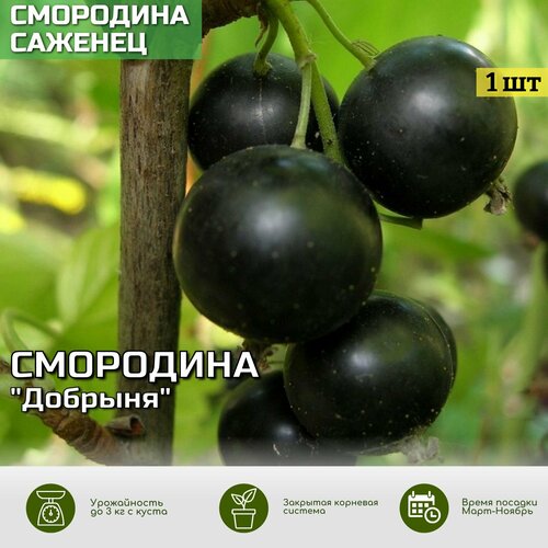 ���� ��������� ׸���� ������� ������� ���