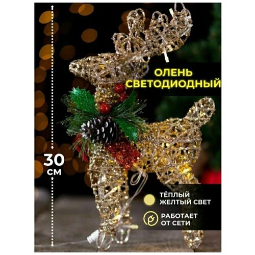 ���� ���������� ���������� ������������ ����� 30c�