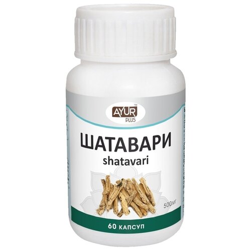 ���� ��������, 60 ������