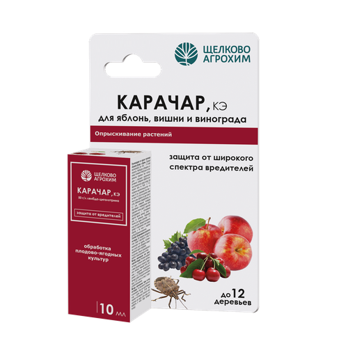 ���� ������� 10�. (������ �� ���������� �����, ��������� �����, ����������) ������� 6611