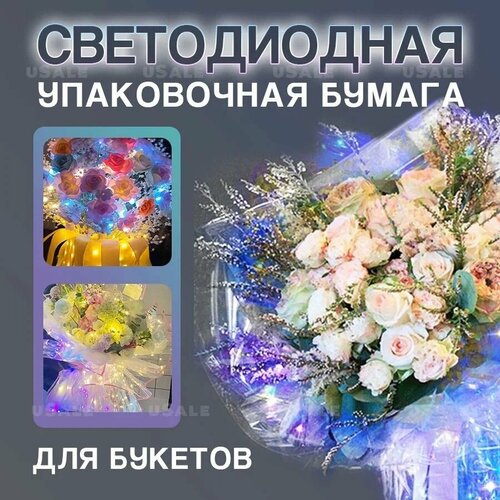 ���� ������������ ���������� ����������� ���������� ������ ���������� ���������� ��� ������ �� ��������