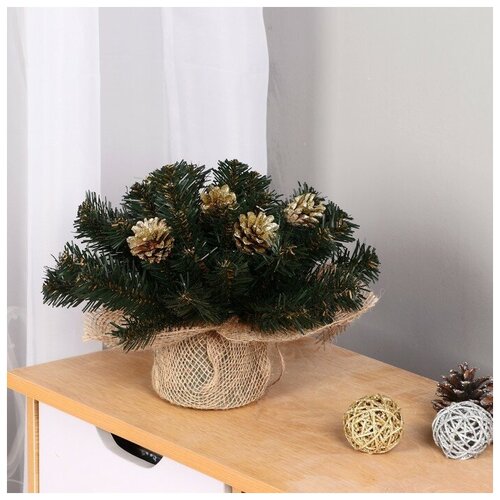 ���� ���������� ���������� 