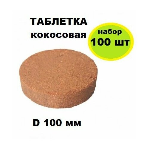     d 100 , 100 .       .    , ,    -     , -,   