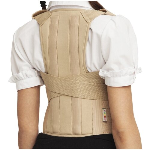 ���� ��������� ������ Orlett TLSO-250(P), ������ S, �������