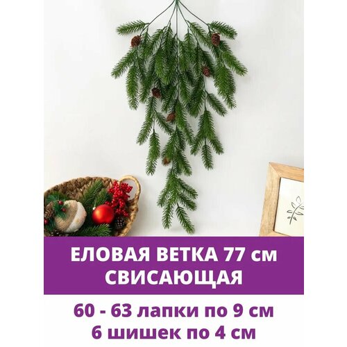 ���� ������ ����� ��� ������, ������������ ������ ���������, 77 ��, 1 ��