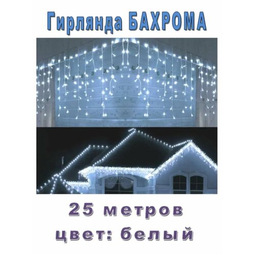 ���� �������� ������� �������