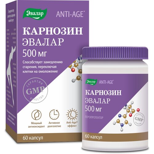 ���� �������� ����., 100 �, 60 ��.