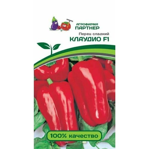 ���� ����� ������� ������ ������� ������ ������� (1 ��������-5 �� �����)