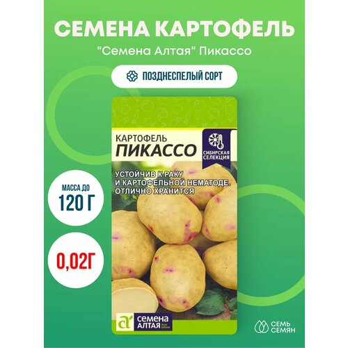 ���� ������ ��������� 