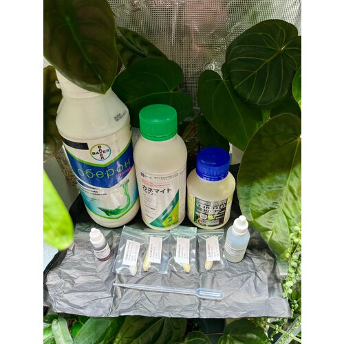 ���� �������� ���������� ��� ��������� ��������, �� ������