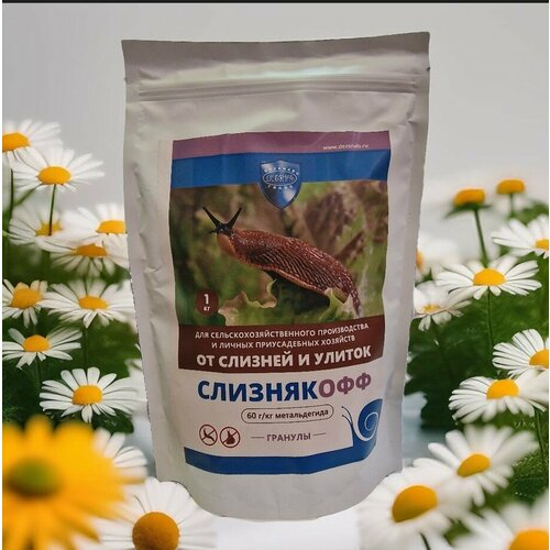 ���� ���������� ������� �� ������� � ������, 1 ��