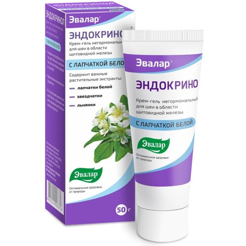 ���� ���������� ����-����, 50 ��