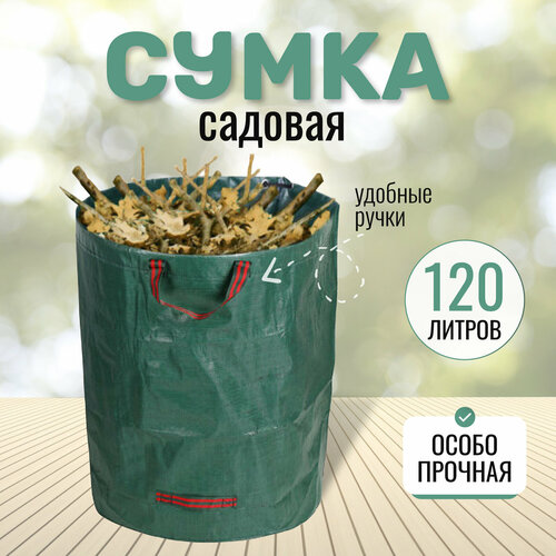 ���� ��������� ������� � �������, 75 ��, �������