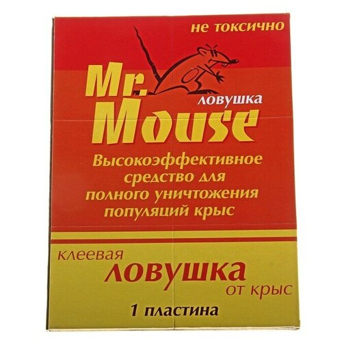    MR. MOUSE      /50