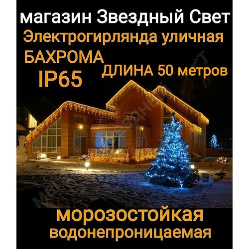 ���� ��������������� ������� ������� ������������ ������ 50�.