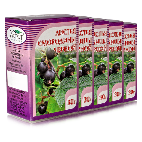 ���� ��������� ������, ������ 30��, 5 ��