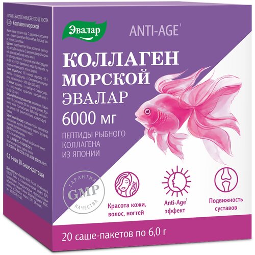 ���� �������� ������� ���., 6 �, 6 �, 20 ��.