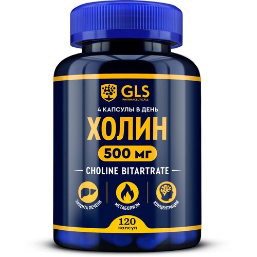 ���� ����� ����., 100 �, 120 ��.