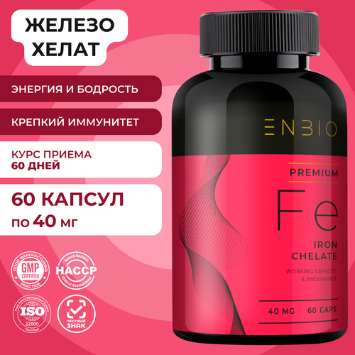 ���� ������ ����� ����������� �������� ��� �������� � ����������, ENBIO, 60 ������, 40 ��