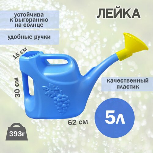 ���� ����� 5� ��������� � �������������