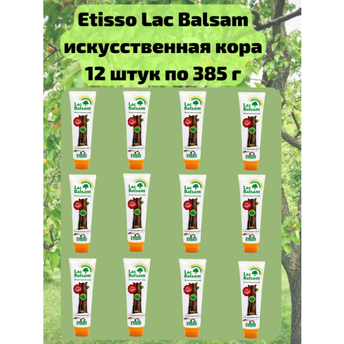    12 .         ,   , 385 Etisso / Lac Balsam  -     , -,   