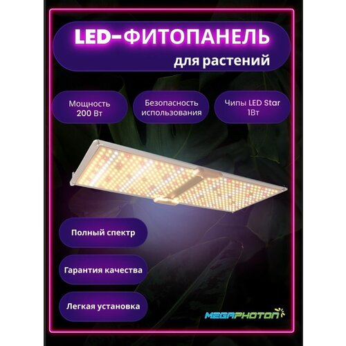      Megaphoton LED 200  , ,  , Quantum Board (   )  -     , -,   