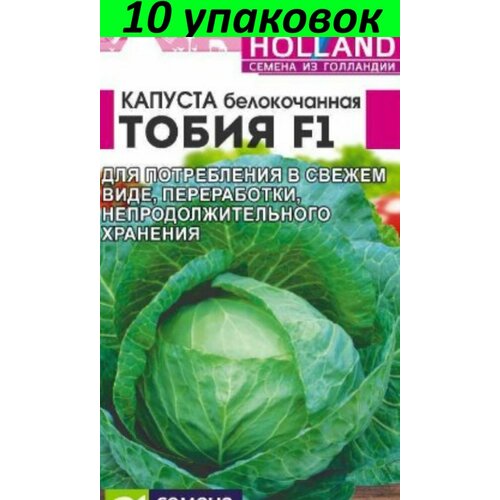       F1 10  15 ( )  -     , -,   