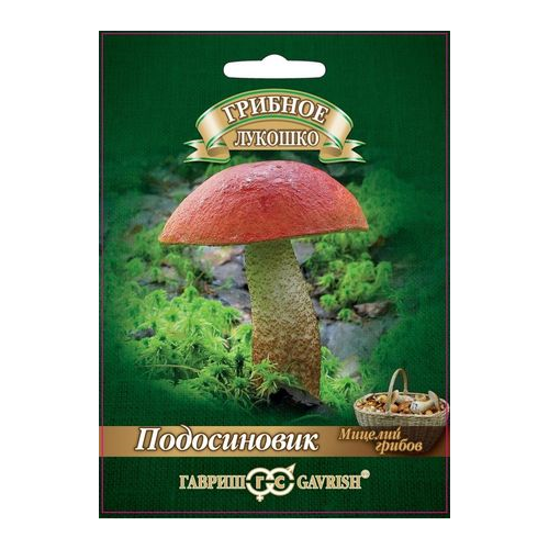 ���� ������� ������ ������ ������� ������� ����������� �� �������� ��������� 15 ��