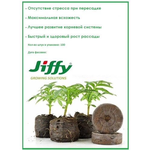         (Jiffy)  33  (  ),  100   -     , -,   