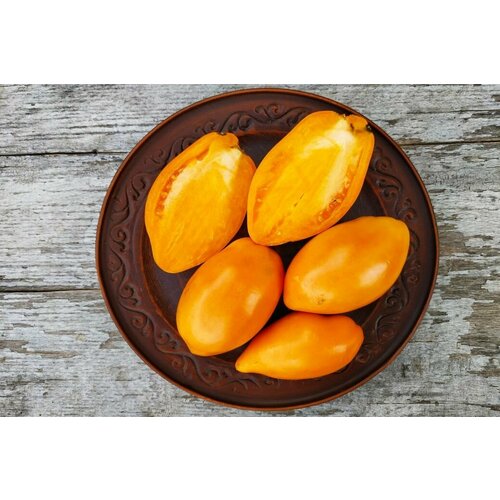 ���� ������������� ������ ������ ������� ����������� ���������