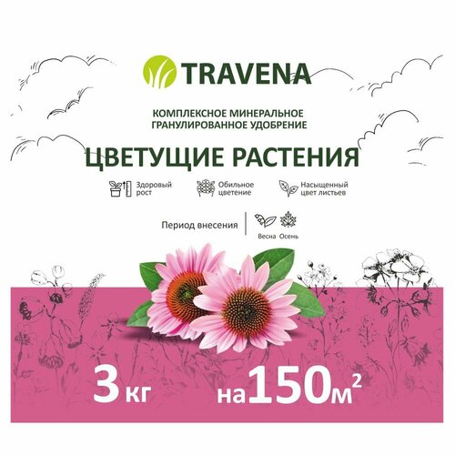        TRAVENA 3   -     , -,   