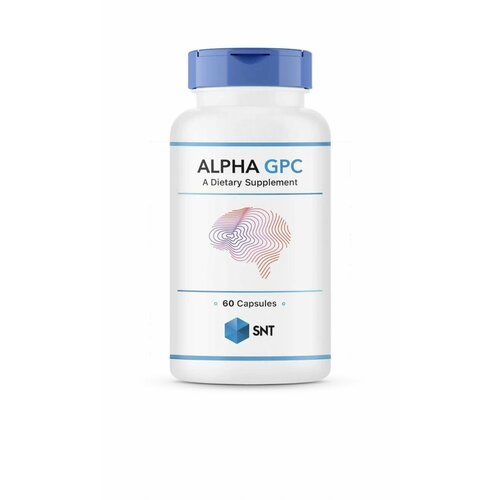       SNT Alpha GPC Cognitive Support 300 mg 60   -     , -  