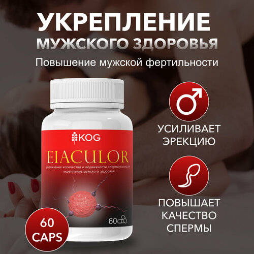   Eiaculor         -     , -  