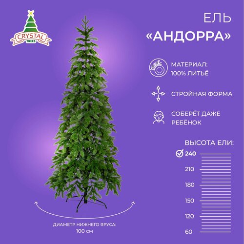 ���� ���� ������������� ������� ����������, ����� 240 ��