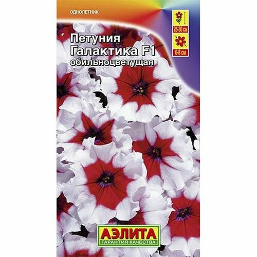 ���� ������ ������� ��������� F1 ���������������, ����������, (������) 7��