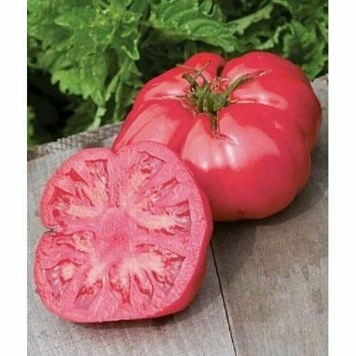 ���� ������������� ������ ������ ������� ��