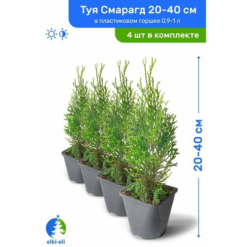 ���� ��� �������� ������� 20-40 �� � ����������� ������ 0,9-2 �, �������, ������� ����� ��������, �������� �� 4 ��