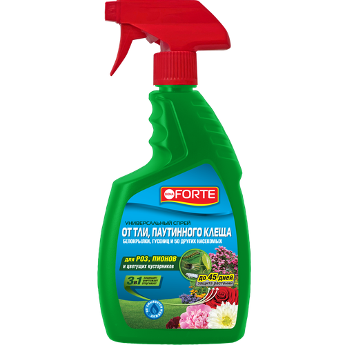 ���� ����� Bona Forte ������ ��� � ��������� ������, 750��