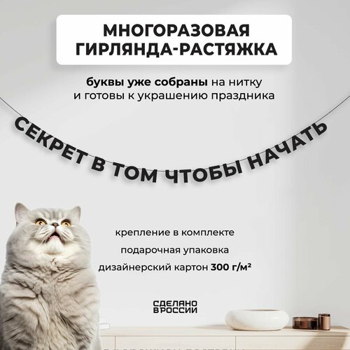 ���� ��������-�������� �������� ������ � ��� ����� ������ (260 ��) - ������ ����� � �������� ������� ���� ��� �������� ��������