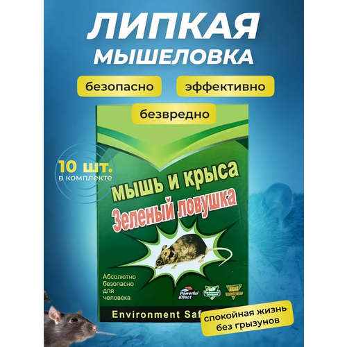 ���� ��������� ������ ��� �����, ������� ��� ���� � �����, 10 ����